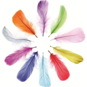 PLUMAS GRANDES CBX x 9gr