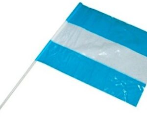 BANDERITAS CHICAS PLASTICAS 25 cm x 15 cm