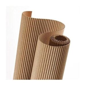 CARTON CORRUGADO KRAFT