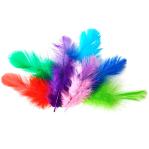 PLUMITAS GRANDES CBX