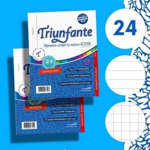 REPUESTO TRIUNFANTE N°3 x 24 HOJAS