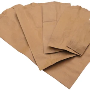 BOLSA PAPEL KRAFT x 100u